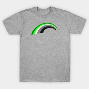 Aromantic Rainbow T-Shirt